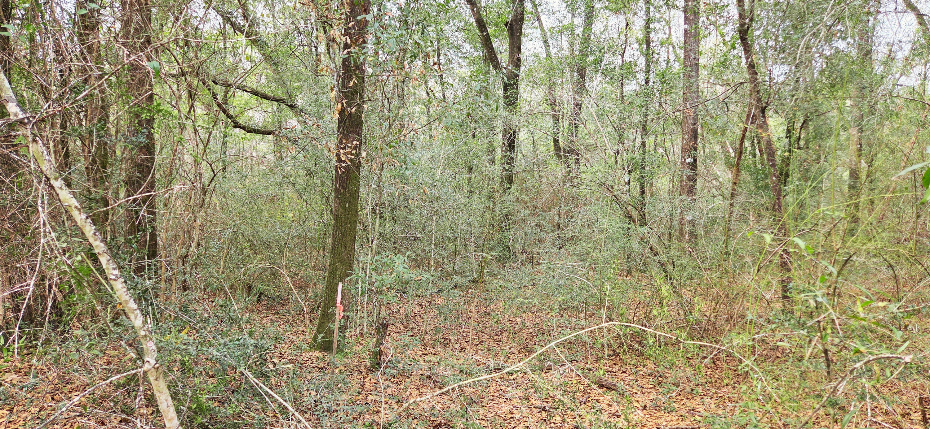 0 East 2nd Avenue Crestview, FL 32539 - Photo 5 of 23 a bathroom with a shower