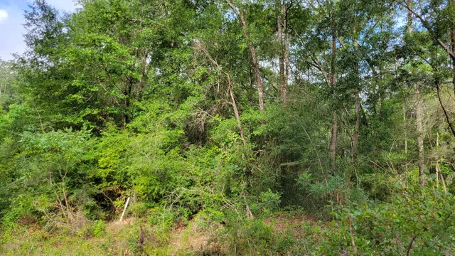 $199,000 | 0 East 2nd Avenue, Crestview, FL 32539