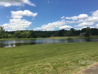 0 Upper Meadow Road Lincolnton, NC 28092 - Photo 6 of 6 Gallery Image 6