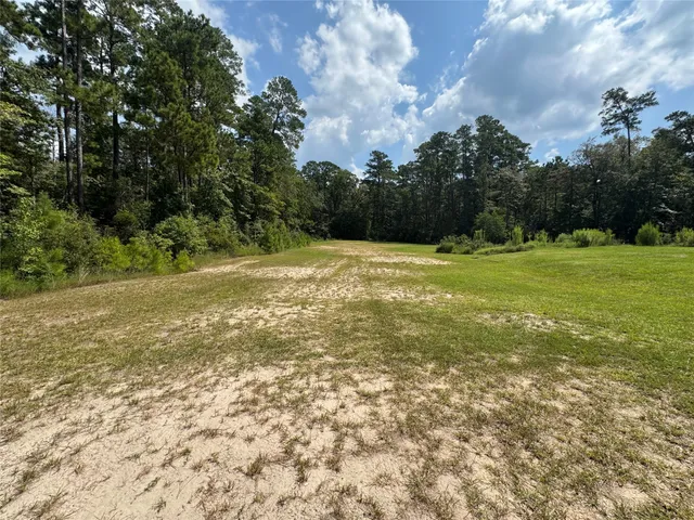 a view of a field with a trees in the background
