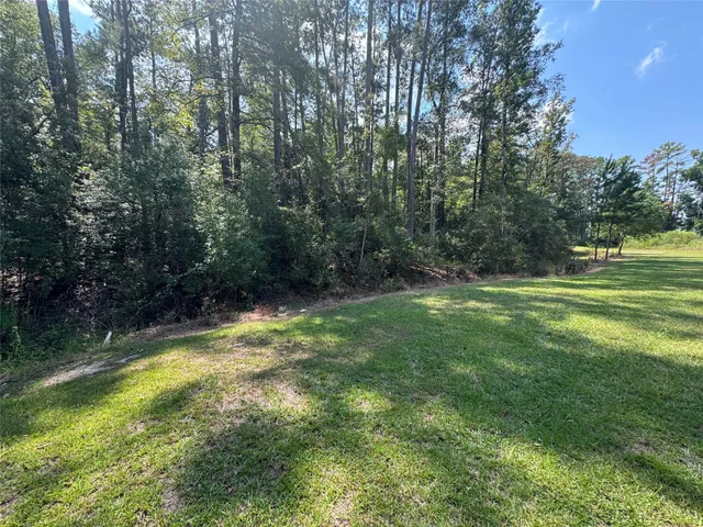 a view of outdoor space with trees all around