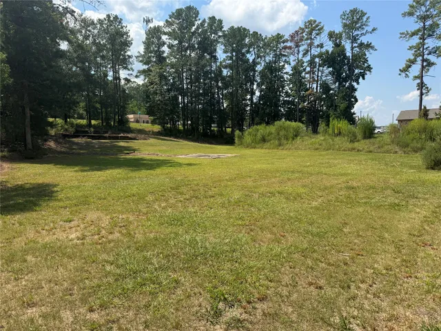 a view of yard with swimming pool and green space