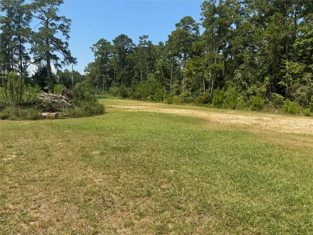 a view of a field with an trees in the background