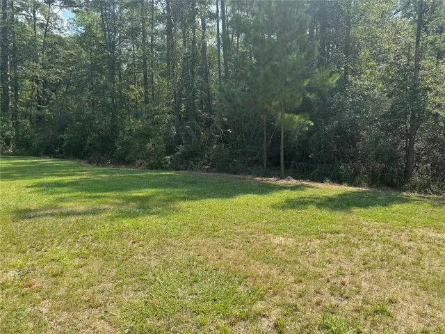 a view of a field with a trees