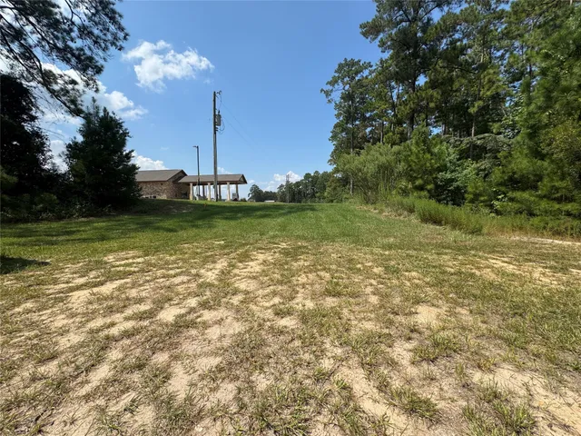 a view of a yard with a tree