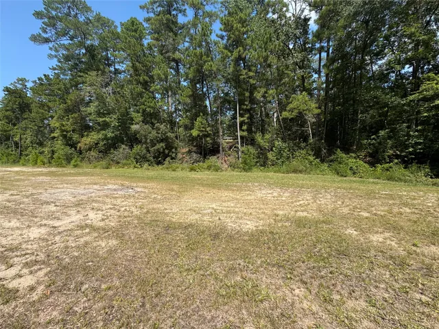 a view of a green yard