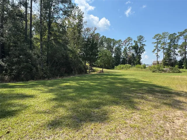 a view of a golf course with a lake