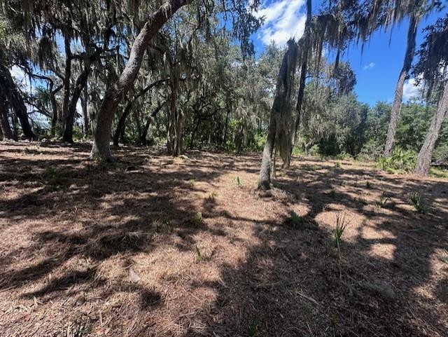 356 Drayton Island Road Georgetown, FL 32139 - Photo 41 of 41 Gallery Image 41