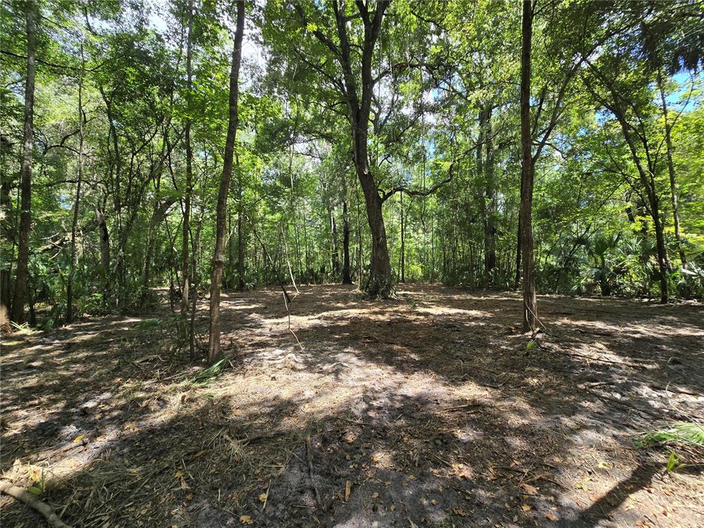 2381 North Junglecamp Road Inverness, FL 34453 - Photo 13 of 15