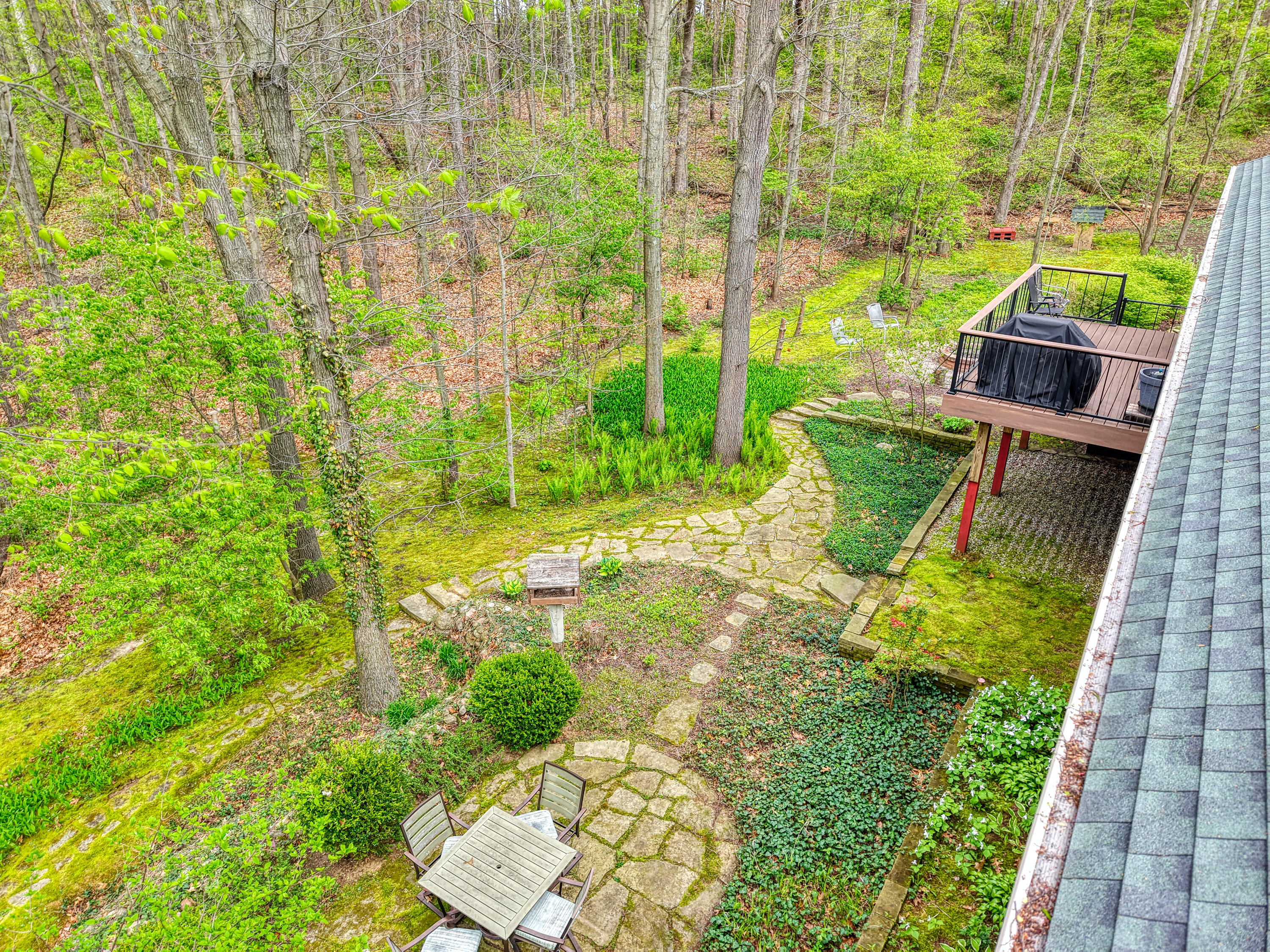 4482 Sutton Road Britton, MI 49229 - Photo 6 of 29 backyard