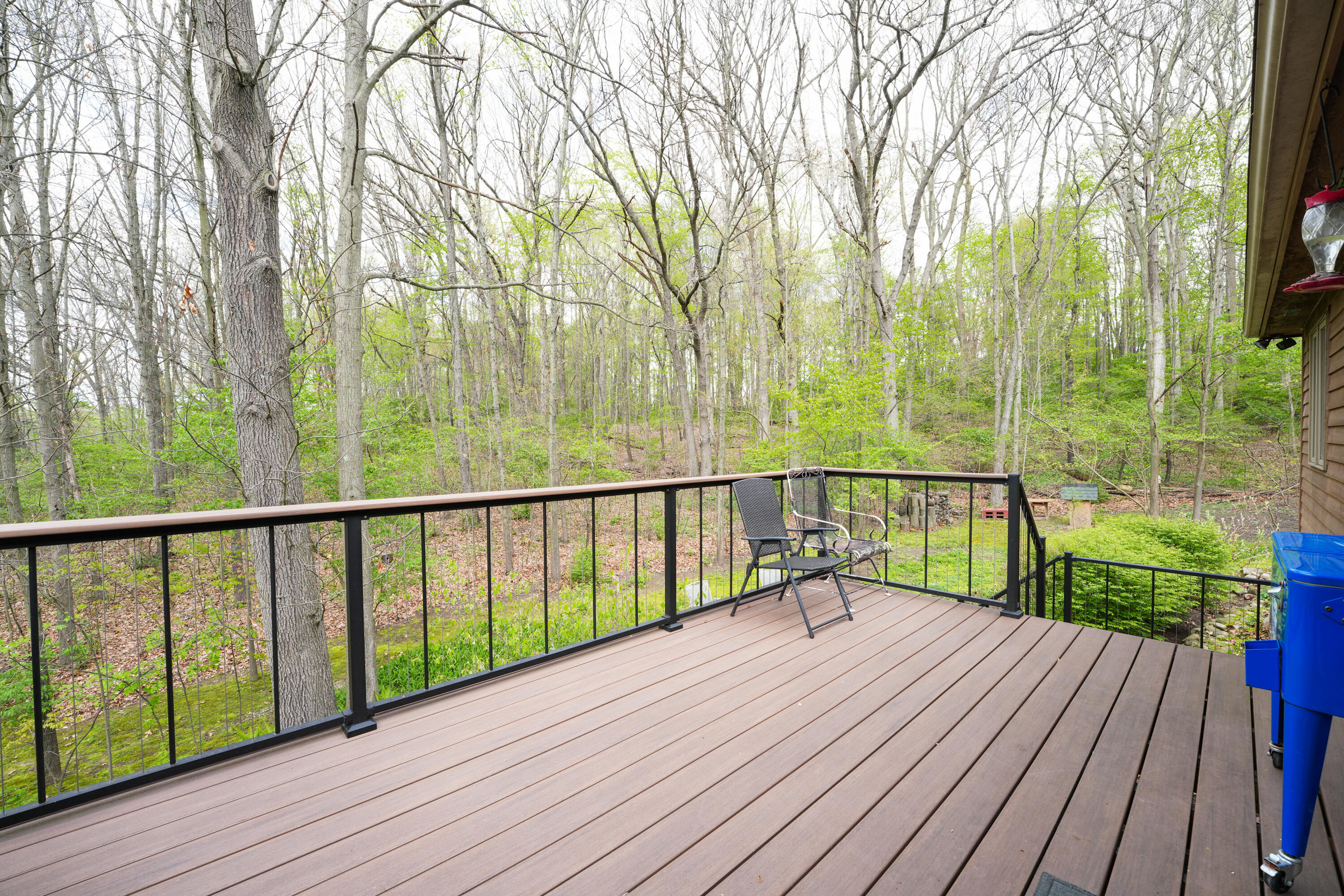 4482 Sutton Road Britton, MI 49229 - Photo 8 of 29 deck 2