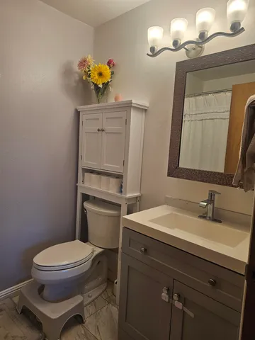 a bathroom with a toilet a sink and mirror