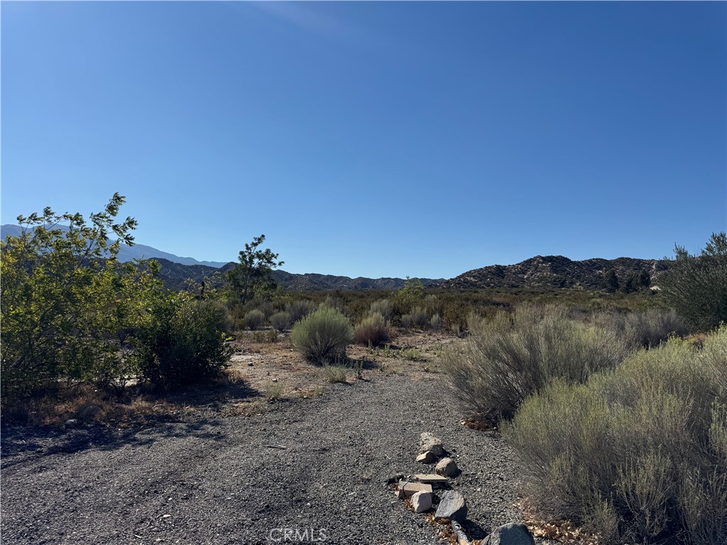 4292 Davis Ranch Road Phelan, CA 92371 - Photo 16 of 50 a view of a dry field