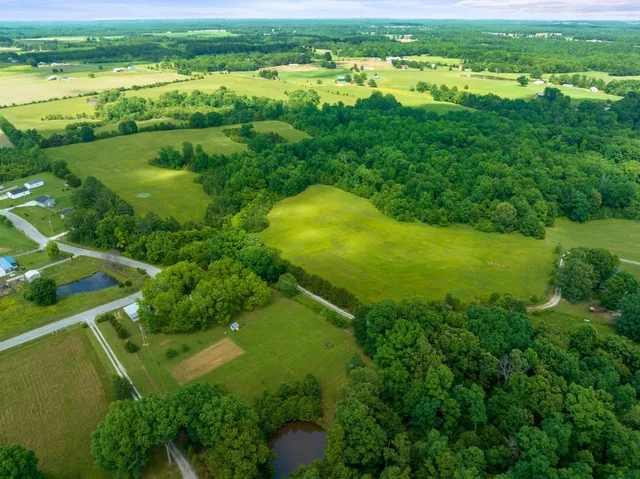 a view of a garden with a building in the background