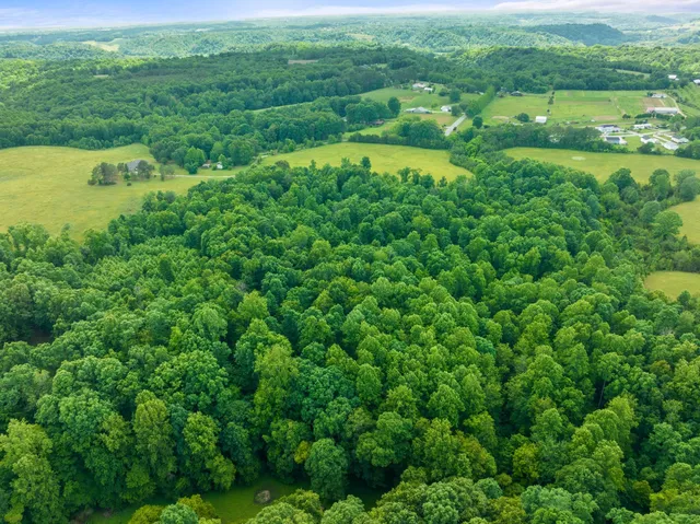 $265,500 | 0 J And K Lane, Belvidere, TN 37306