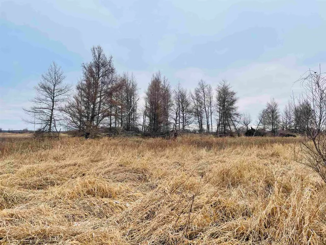 $60,000 | Hallman Road, Berlin, WI 54923