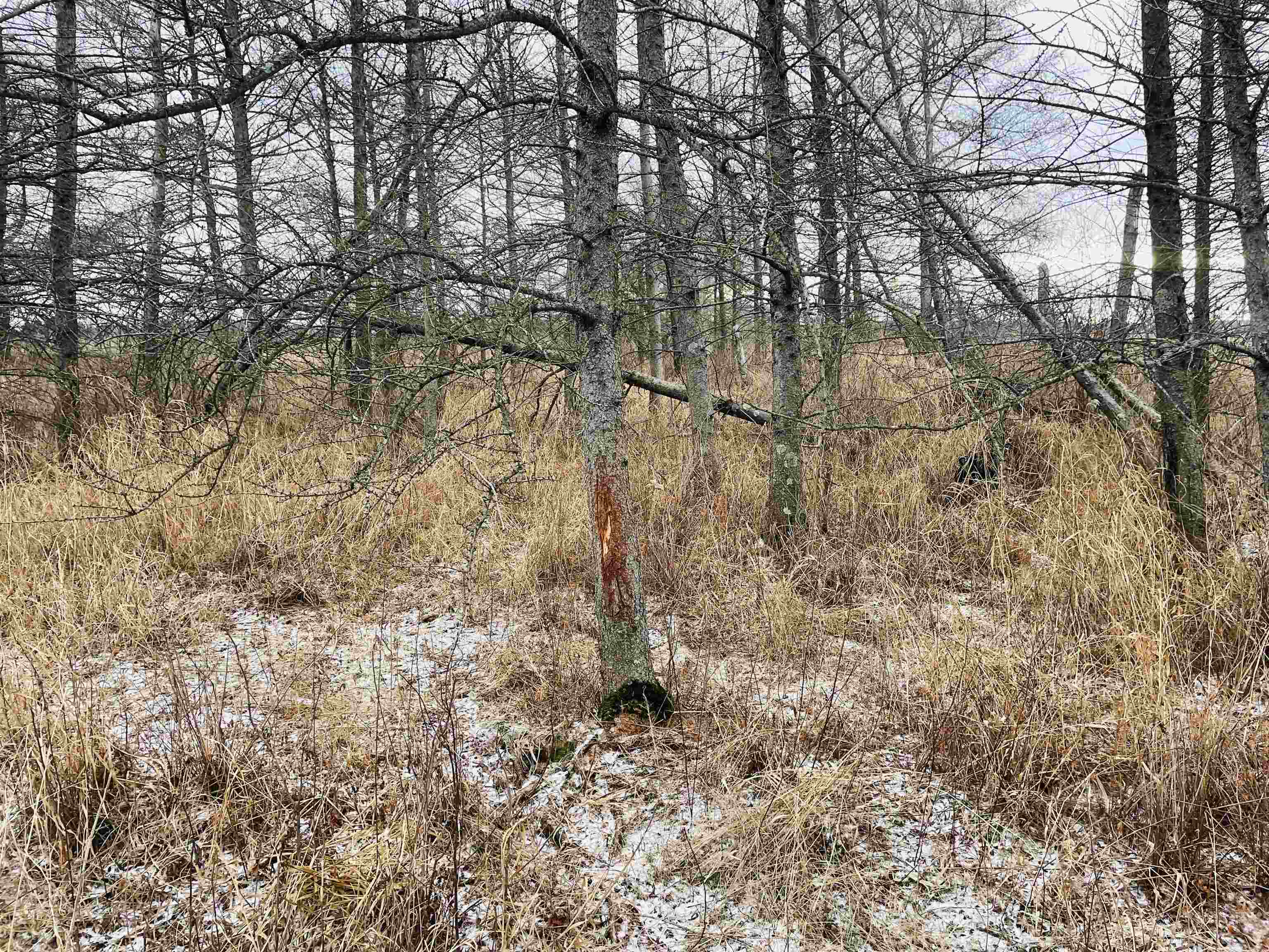 Hallman Road Berlin, WI 54923 - Photo 12 of 24