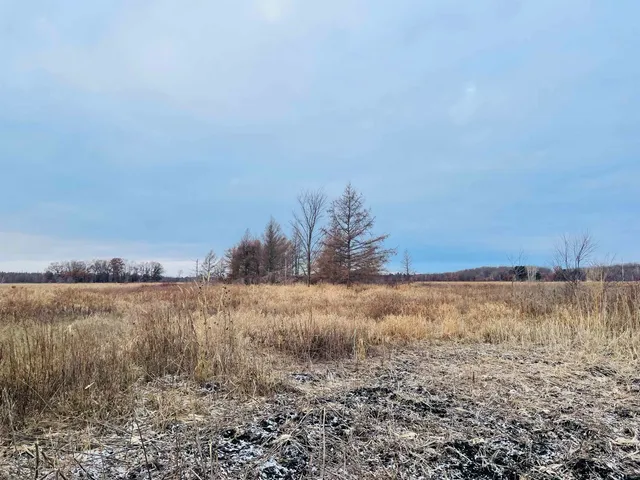 $60,000 | Hallman Road, Berlin, WI 54923