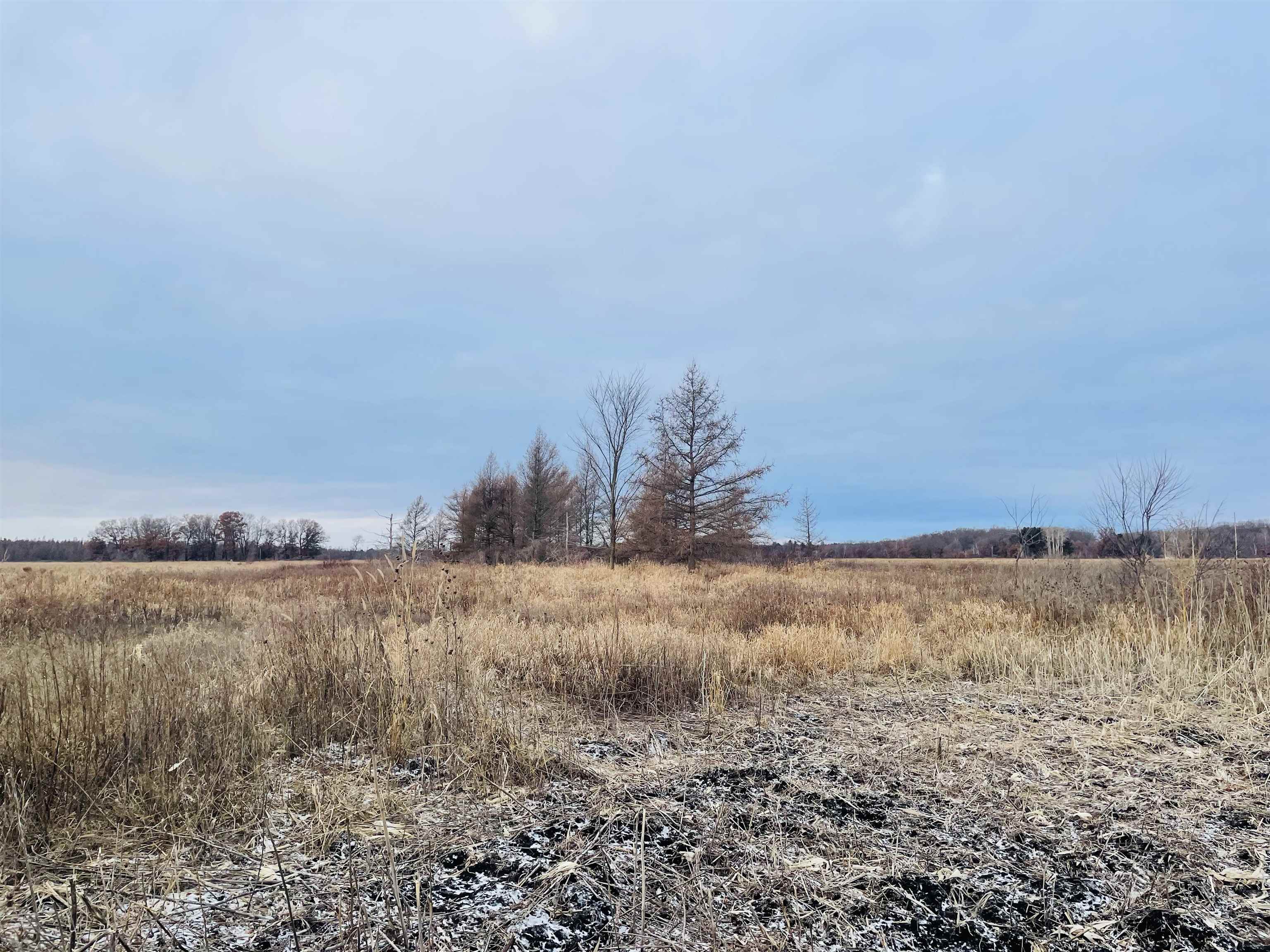 Hallman Road Berlin, WI 54923 - Photo 14 of 24