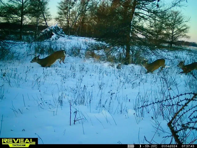 $60,000 | Hallman Road, Berlin, WI 54923