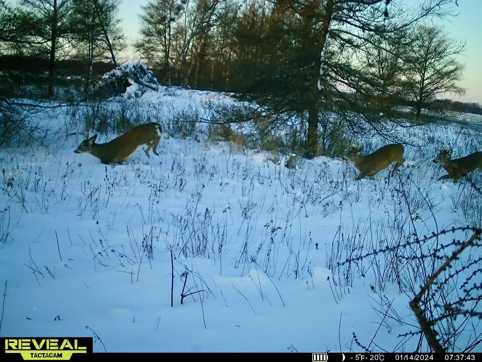 Hallman Road Berlin, WI 54923 - Photo 2 of 24