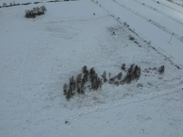 $60,000 | Hallman Road, Berlin, WI 54923