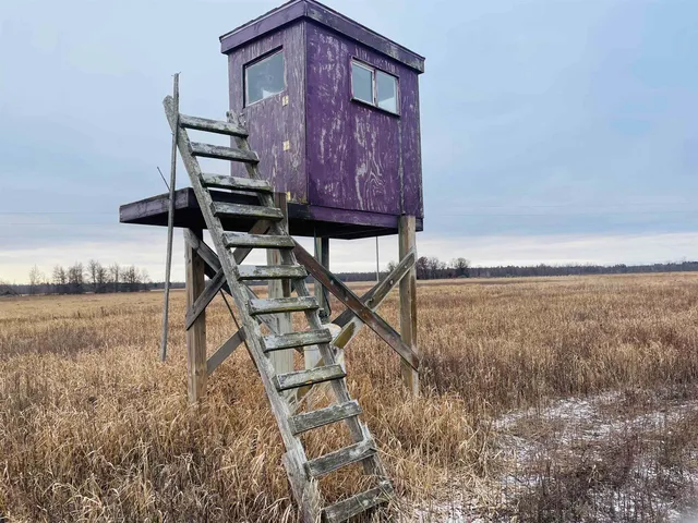 $60,000 | Hallman Road, Berlin, WI 54923