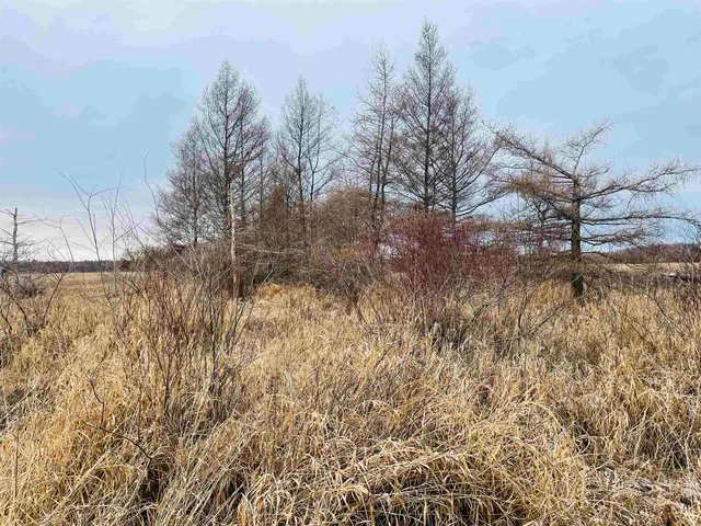 $60,000 | Hallman Road, Berlin, WI 54923