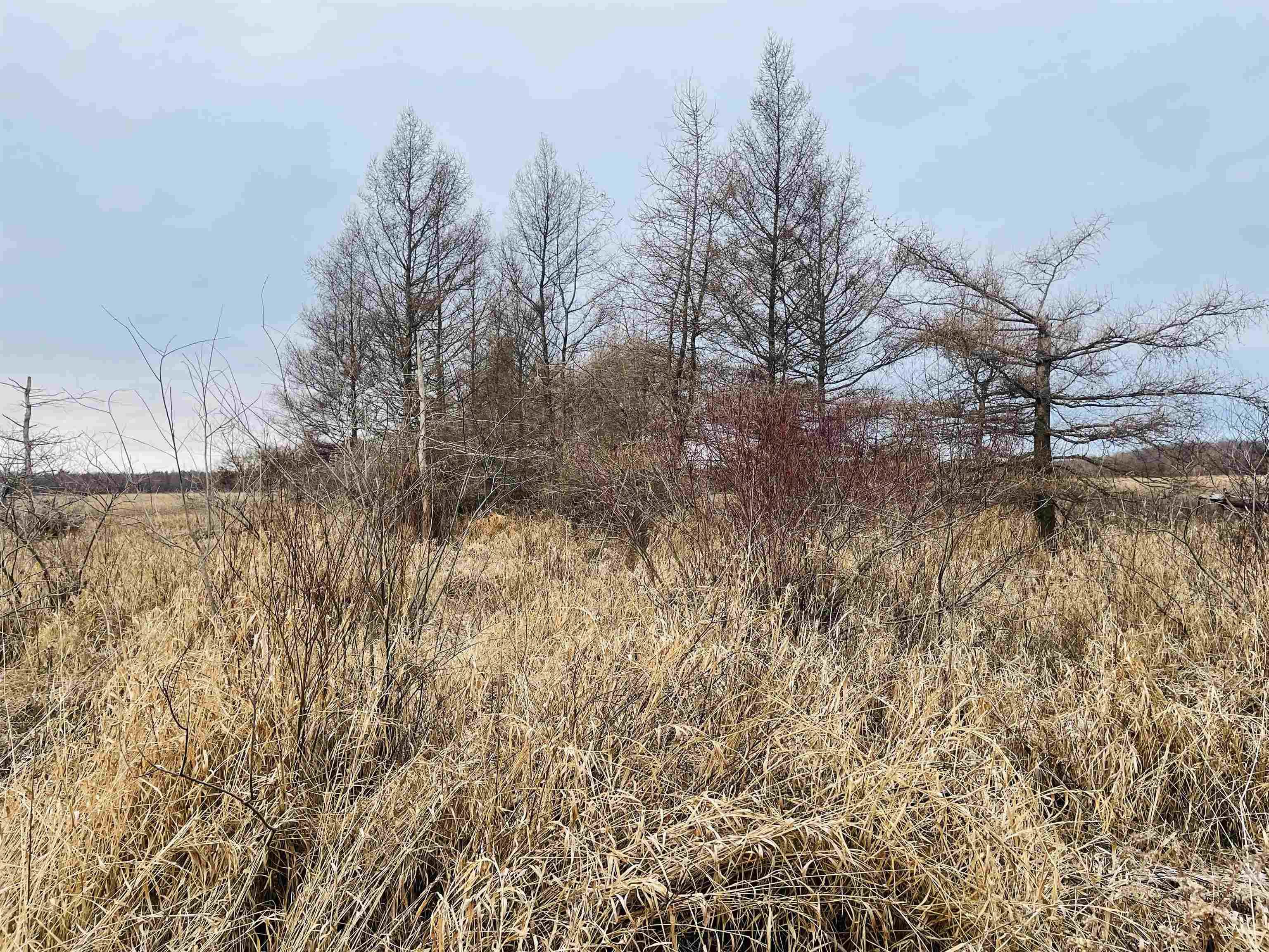 Hallman Road Berlin, WI 54923 - Photo 6 of 24