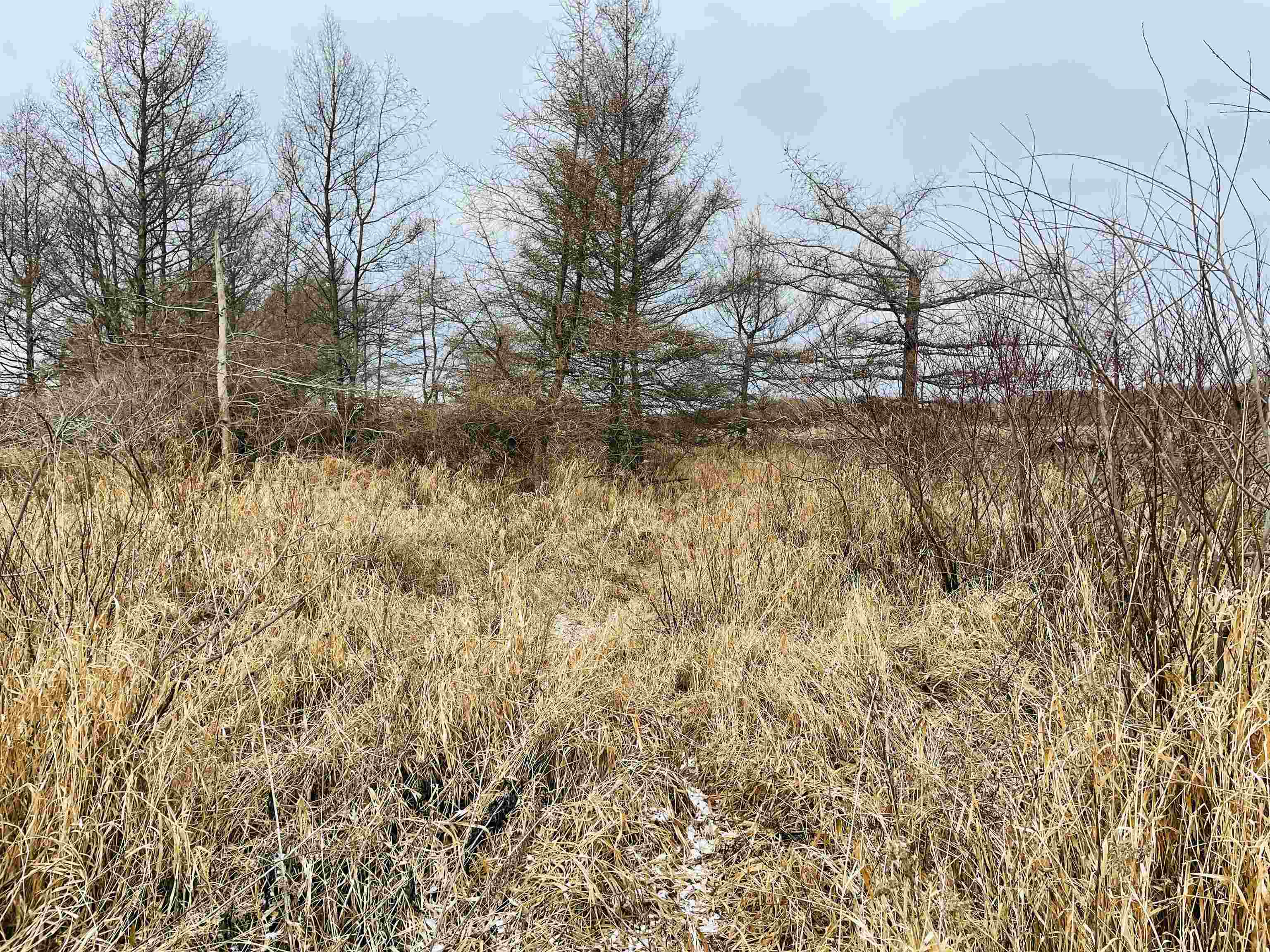 Hallman Road Berlin, WI 54923 - Photo 7 of 24