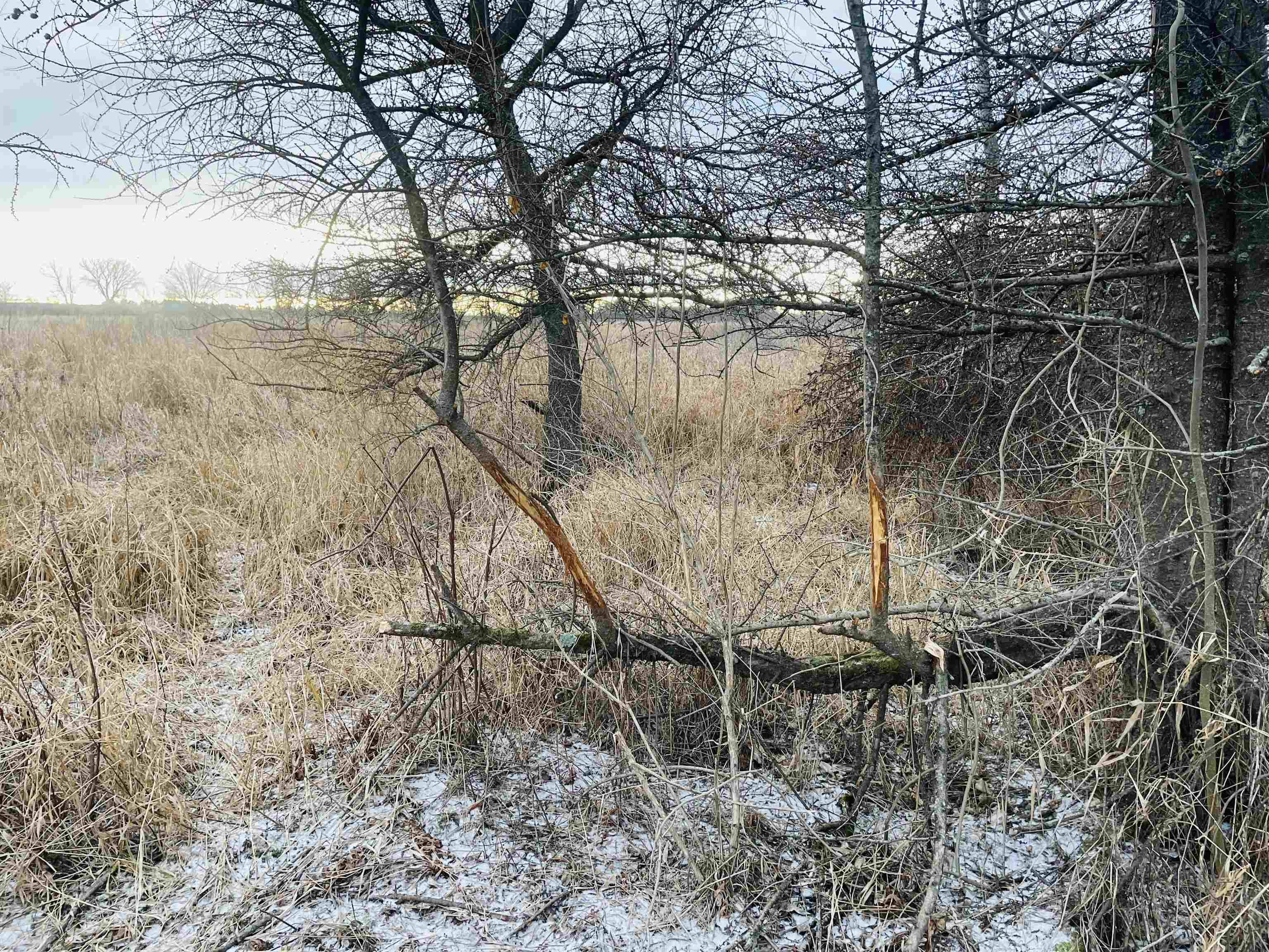 Hallman Road Berlin, WI 54923 - Photo 8 of 24