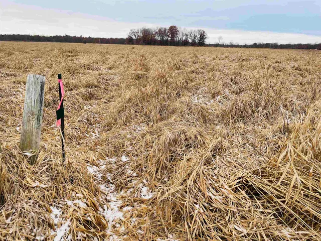 $60,000 | Hallman Road, Berlin, WI 54923