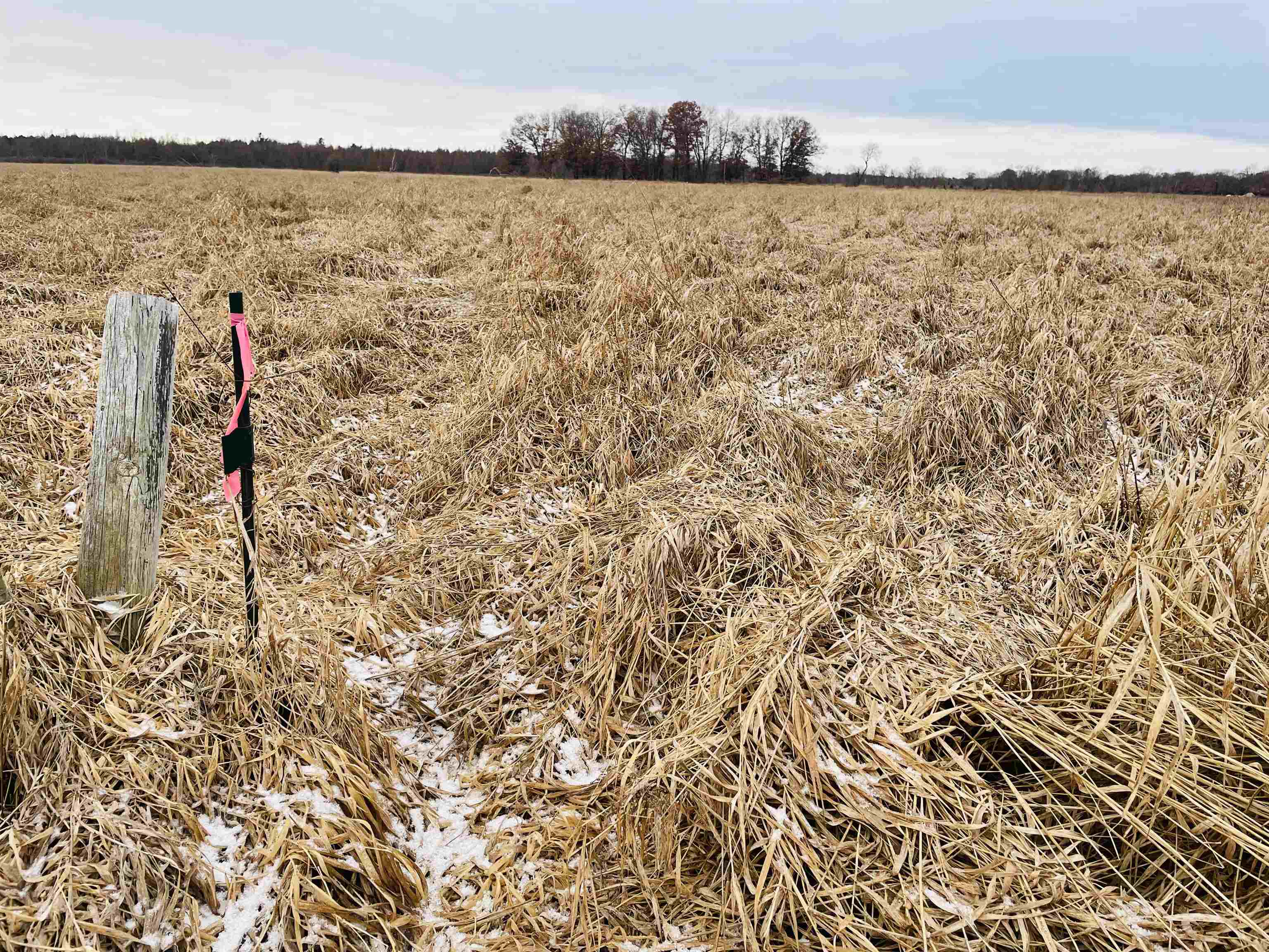 Hallman Road Berlin, WI 54923 - Photo 9 of 24