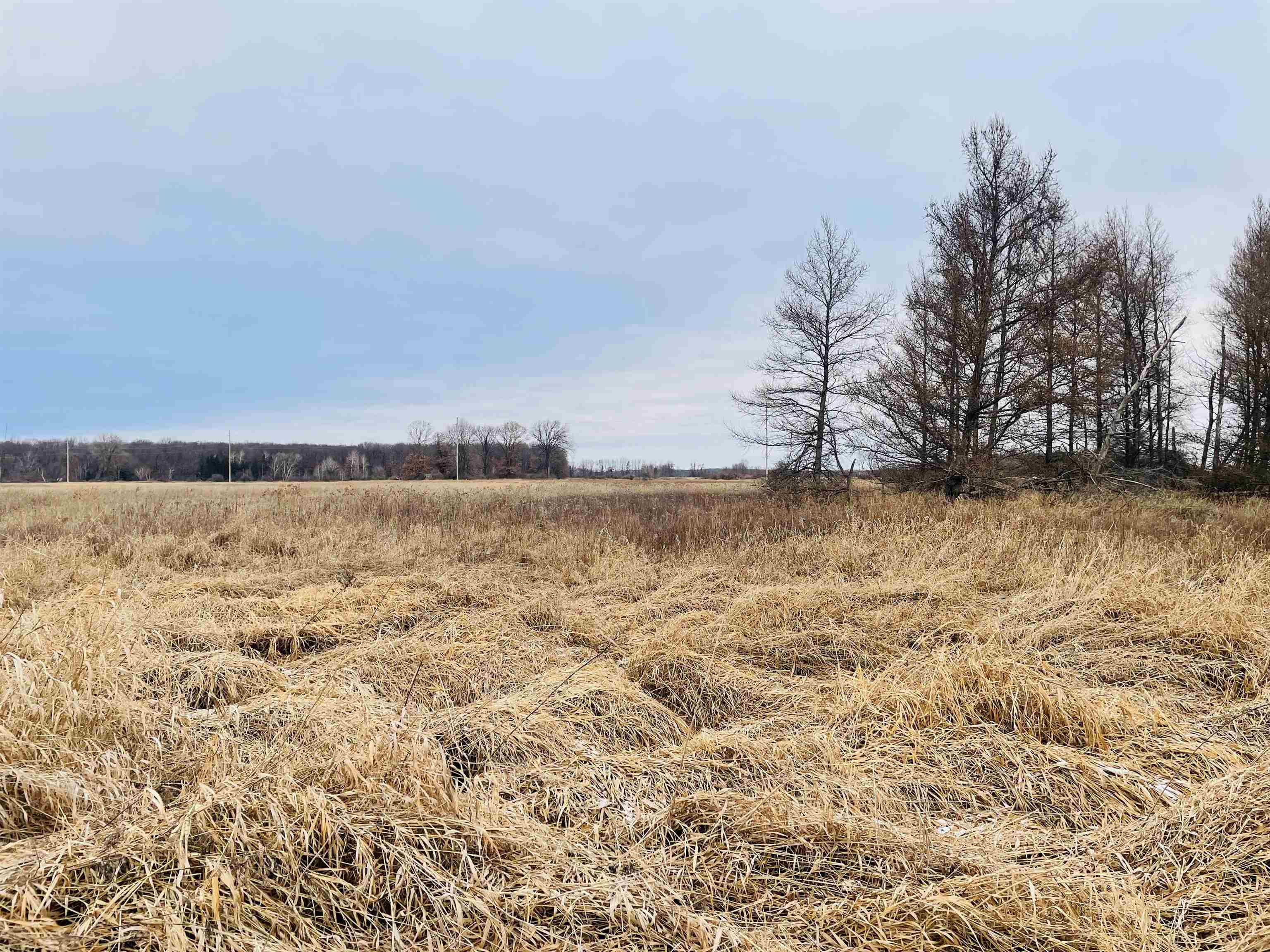 Hallman Road Berlin, WI 54923 - Photo 10 of 24