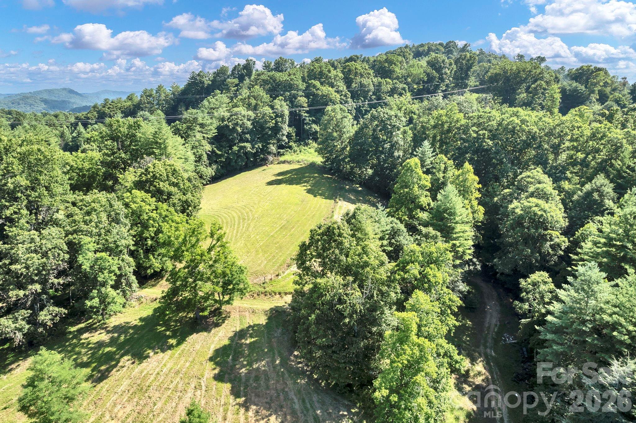 284 Paul Gosnell Road Marshall, NC 28753 - Photo 22 of 23