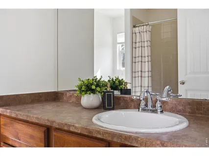 a bathroom with a potted plant and a sink