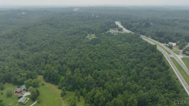 a close up of a plant in a field