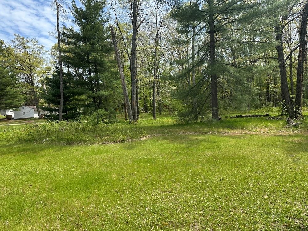 1197 Pineview Road Harrison, MI 48625 - Photo 6 of 8