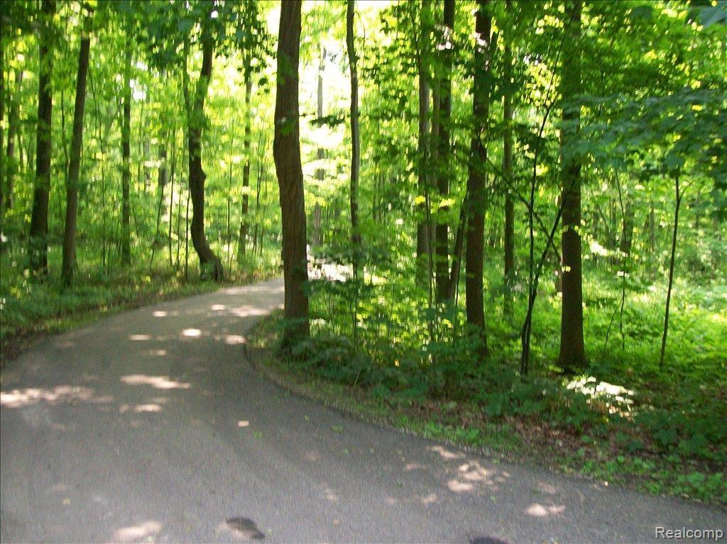 7301 Warren Road Ann Arbor, MI 48105 - Photo 5 of 25 Ent from main Rd