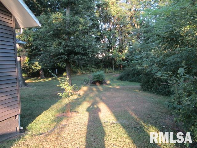1506 Hillside Road Rosiclare, IL 62982 - Photo 22 of 29 a view of yard with green space