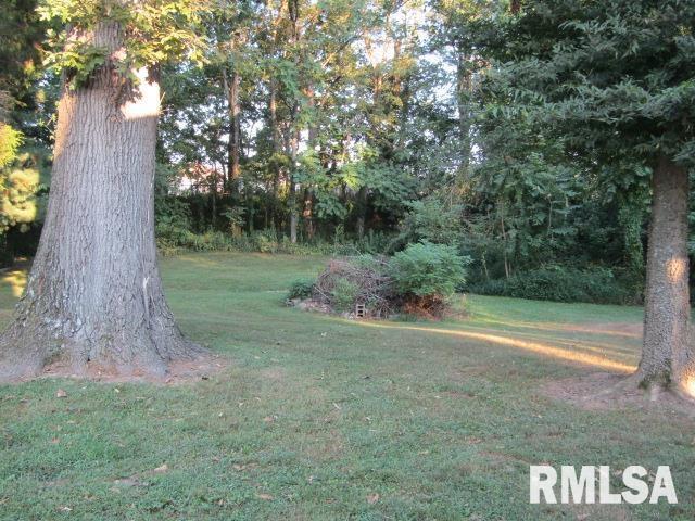 1506 Hillside Road Rosiclare, IL 62982 - Photo 23 of 29