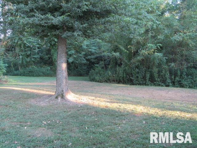 1506 Hillside Road Rosiclare, IL 62982 - Photo 24 of 29 a view of a yard