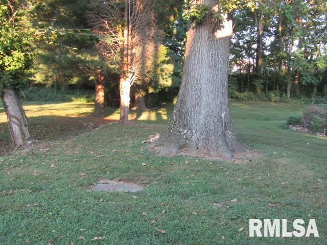1506 Hillside Road Rosiclare, IL 62982 - Photo 25 of 29 a view of backyard with green space