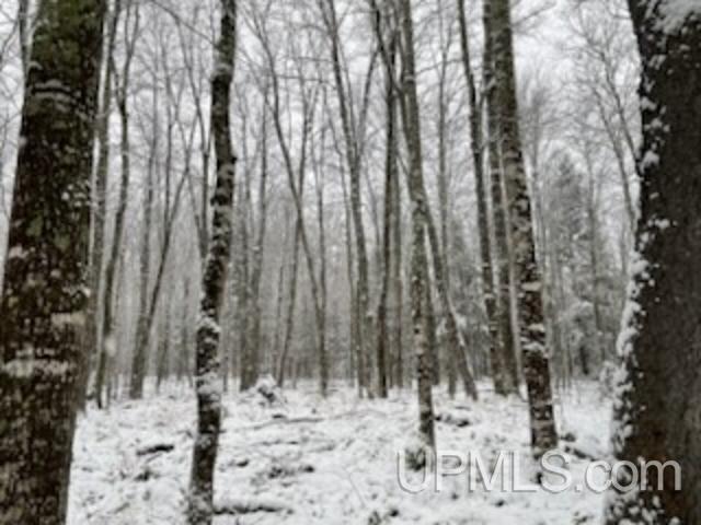 94-acres Peter White Road Deerton, MI 49822 - Photo 21 of 24