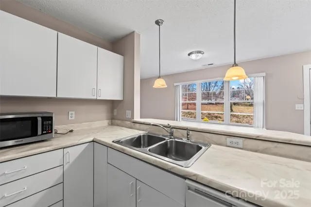 a kitchen that has a sink a window and cabinets