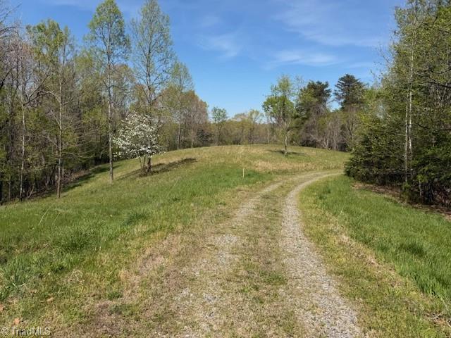 0 Seven Island Road Danbury, NC 27016 - Photo 10 of 14