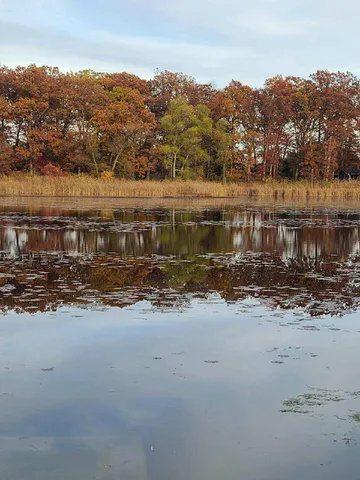 $99,000 | 0 Us 12 Street, Buchanan, MI 49107