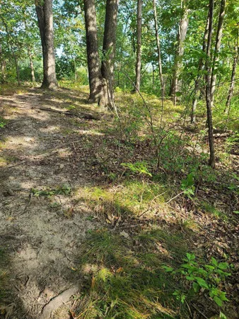 $99,000 | 0 Us 12 Street, Buchanan, MI 49107