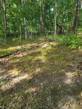 $99,000 | 0 Us 12 Street, Buchanan, MI 49107