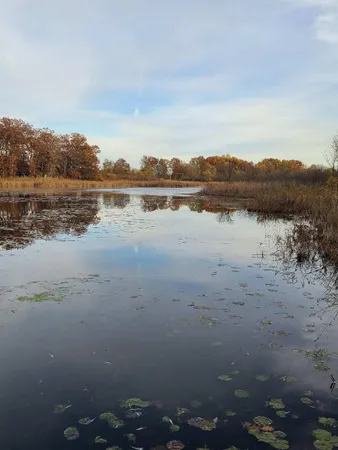 $99,000 | 0 Us 12 Street, Buchanan, MI 49107